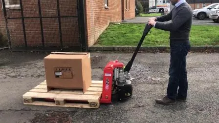 1.5t Economic Semi-Electric Hand Pallet Truck Ept20-15ehj